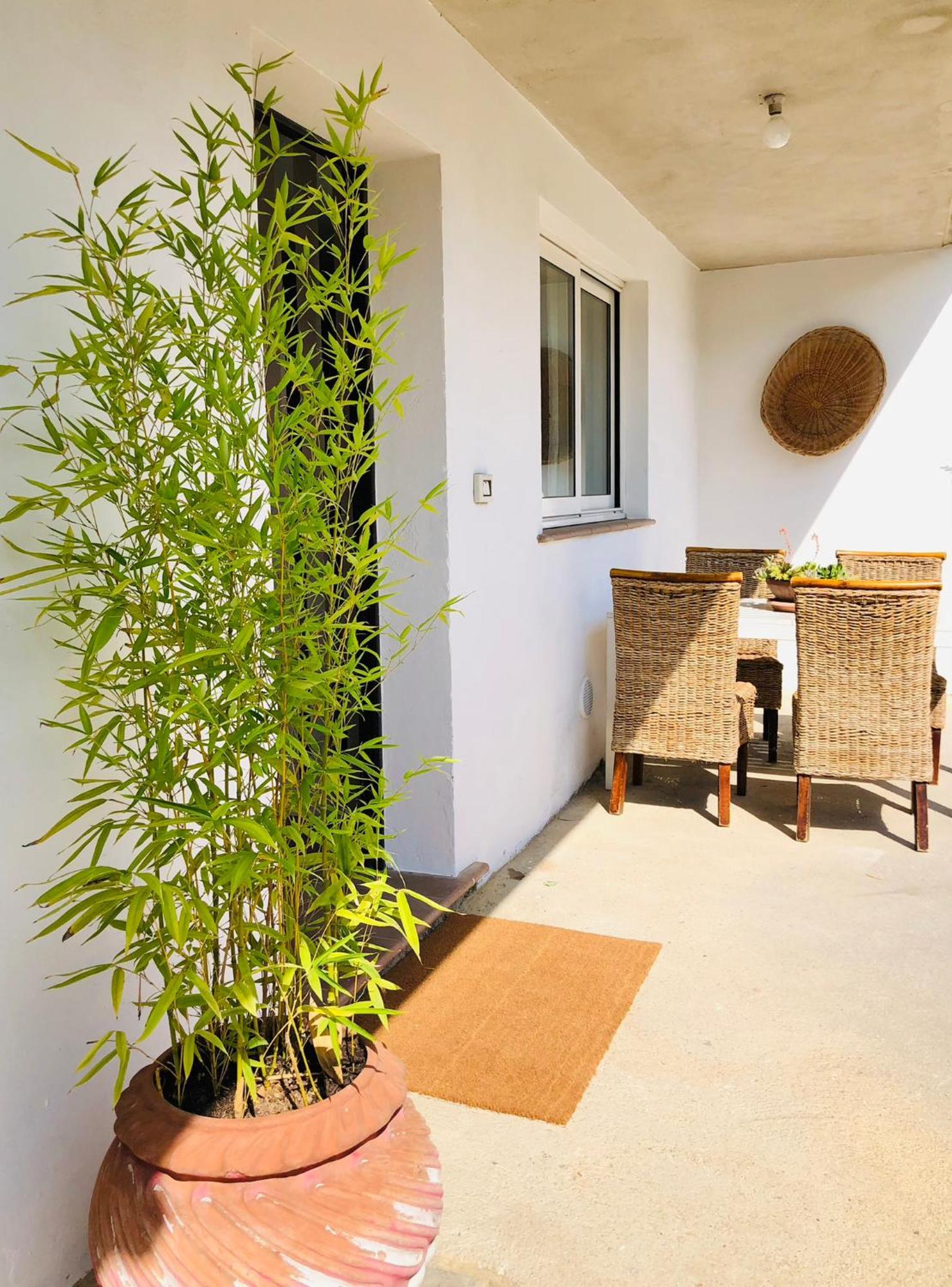 Blue Apricot Apartment Con Jacuzzi Montesilvano Marina Exteriör bild